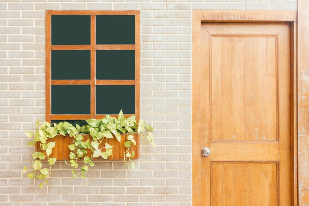 A wooden door and window on a light brick wall adorned with green leafy plants.